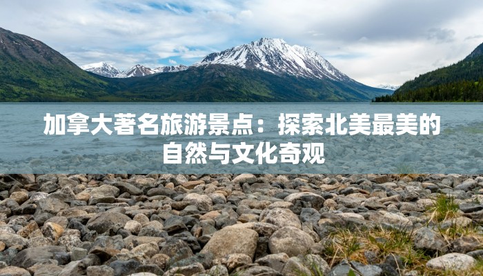 济源物流投诉快递:化解难题,畅享便捷 济源物流投诉快递:化解难题,畅享便捷